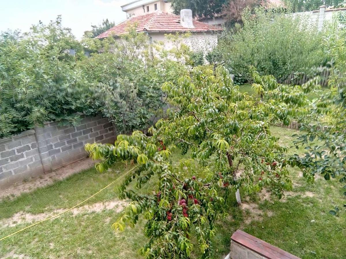 Alfa Guest House Varna Esterno foto